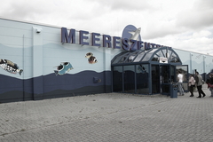 Meereszentrum Fehmarn - Meerwasseraquarium Korallenriff Haifischanlage